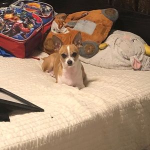 Meet your Posher, Nayeli